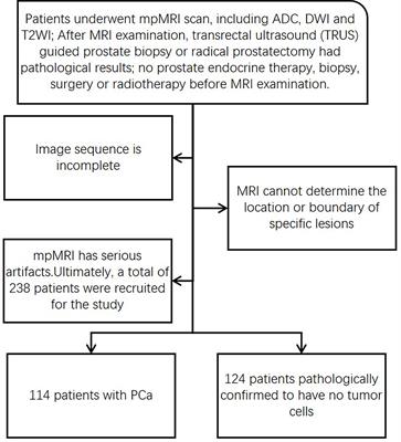 Evaluation of the Efficiency of MRI-Based Radiomics Classifiers in the Diagnosis of Prostate Lesions